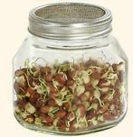 Zelf Kiemen Kweken met Eschenfelder Kiemglazen, Overige materialen, Verzenden, Nieuw, Overige vormen