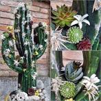 Oasis® black bioline cactus grote zwarte 38 x 74 11 cm, Ophalen of Verzenden, Nieuw