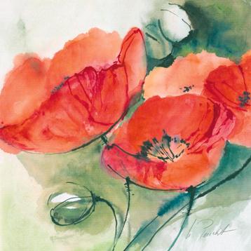 Kunstdruk Marta Peuckert - Mohnblüten 21x21cm beschikbaar voor biedingen