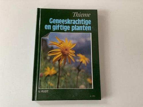 GENEESKRACHTIGE EN GIFTIGE PLANTEN / Bloemen en planten Rudt, Boeken, Wetenschap, Gelezen, Verzenden