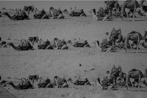 Ben Dauchez - Maroc Surimpression # 1, Antiek en Kunst, Kunst | Schilderijen | Modern