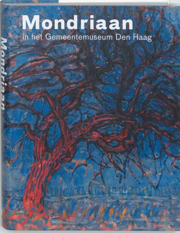 Mondriaan in het Gemeentehuis Den Haag 9789040084430, Boeken, Kunst en Cultuur | Beeldend, Gelezen, Verzenden