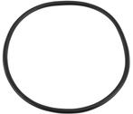 O-ring voor filterdeksel 1,5 Pentair Tagelus zandfilter, Tuin en Terras, Zwembad-toebehoren, Nieuw, Verzenden