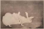 Jan Mankes (1889-1920), after - Heliogravure 2 Konijntjes