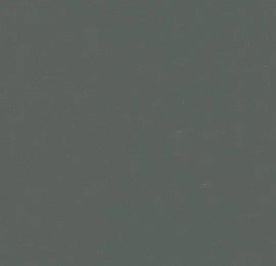 Forbo Marmoleum vtwonen VTW05 Tin, Doe-het-zelf en Verbouw, Overige Doe-het-zelf en Verbouw