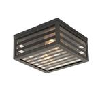 Moderne buiten plafondlamp zwart glas 2-lichts IP44 - Reims, Nieuw, Minder dan 50 watt