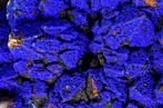 Diepe blauwe bolvormige azuriet op artisjok-gegoethiseerde, Verzamelen, Mineralen en Fossielen