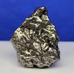 Authentieke ijzeren meteoriet. Sculpturaal CAMPO DEL CIELO