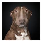 Ralph Hargarten - Eddi