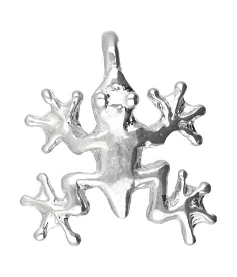 Zilveren Boomkikker ketting hanger, Sieraden, Tassen en Uiterlijk, Kettinghangers, Verzenden