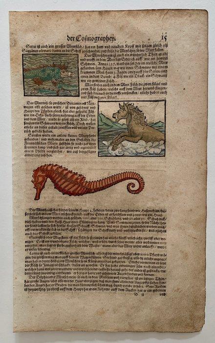 Sebastian Münster - Cosmographia - 1590, Antiek en Kunst, Antiek | Boeken en Bijbels