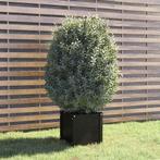 vidaXL Plantenbak 40x40x40 cm massief grenenhout zwart, Verzenden, Minder dan 60 cm, Nieuw, Hout