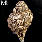 Antieke Hindu Shankha schelp - handgemaakte gravure -, Nieuw