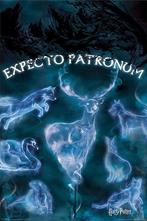 Poster Harry Potter Patronus 61x91,5cm, Verzenden, Nieuw, A1 t/m A3