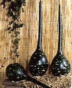 Dipper Lagenaria fleskalebas 250 zaden, Ophalen of Verzenden, Nieuw