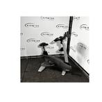 Matrix - U3x - Upright Bike, Sport en Fitness, Fitnessapparatuur, Ophalen of Verzenden, Nieuw, Overige typen