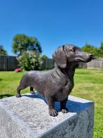 Beeld, Large Bronze Dachshund 33cm - 17.5 cm - Brons - 2025, Antiek en Kunst
