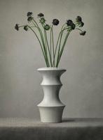 Tessa Posthuma de Boer - Daisies