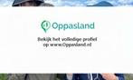 Sergey zoekt een oppas in Leiden voor 2 kinderen voor 5 d..., Vacatures, Vacatures | Klantenservice en Callcenter