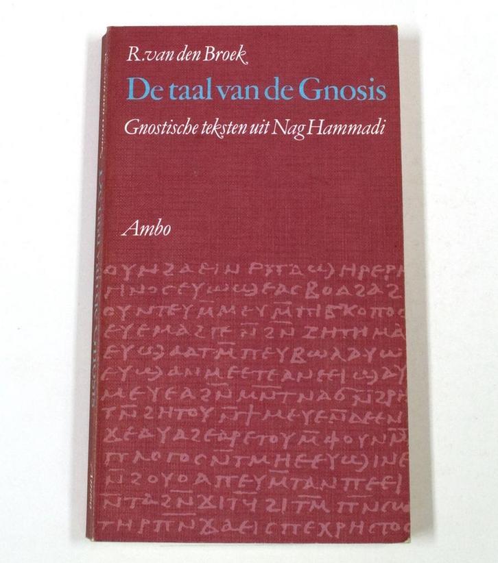 De taal van de Gnosis 9789026307454 Broek, Boeken, Godsdienst en Theologie, Gelezen, Verzenden