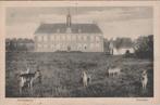 VEENDAM - Hertenkamp, Verzenden, Gelopen