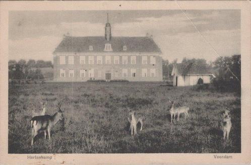 VEENDAM - Hertenkamp, Verzamelen, Ansichtkaarten | Nederland, Verzenden