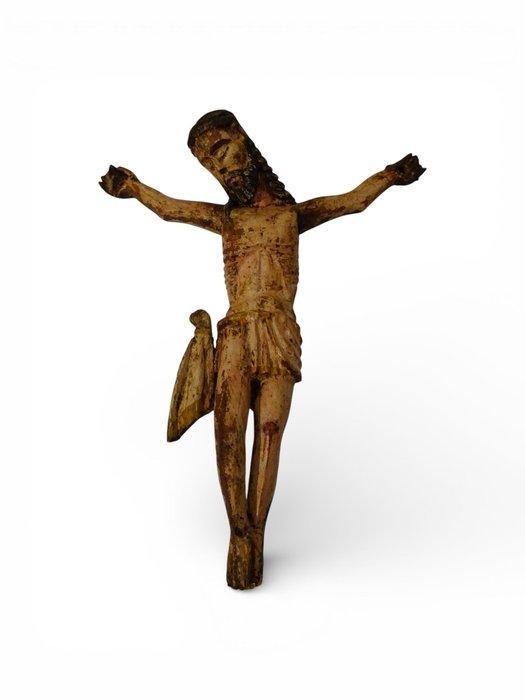 sculptuur, Corpus Christi - 32.4 cm - Hout, Antiek en Kunst, Antiek | Overige Antiek