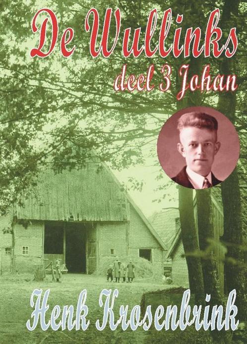 De Wullinks Johan 9789055122912 Henk Krosenbrink, Boeken, Streekboeken en Streekromans, Gelezen, Verzenden