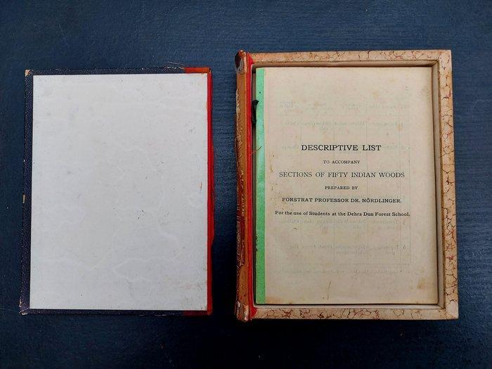 Dr. Hermann Nördlinger - Sections of 50 INDIAN Woods -, Antiek en Kunst, Antiek | Boeken en Bijbels