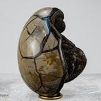 Zeer decoratieve septarien Ei met calcietkristallen- 2057.25