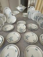 Winterling - Röslau - hellblaues Rosen-Muster - Eetservies, Antiek en Kunst