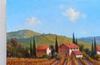 Raimondo Pacini (1974) - In the middle of vineyard - Tuscany, Antiek en Kunst