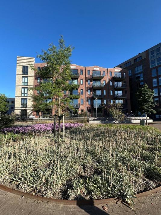 Appartement te huur in Bergen op Zoom - 76 m² - 3 kamer(s) -, Huizen en Kamers, Huizen te huur, Noord-Brabant, Appartement