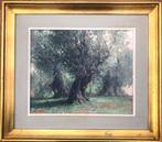 José Ventosa Domènech (1897-1982) - Olivos de Soller