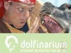 Dolfinarium ACTIE: Gratis of veel Dolfinarium korting!