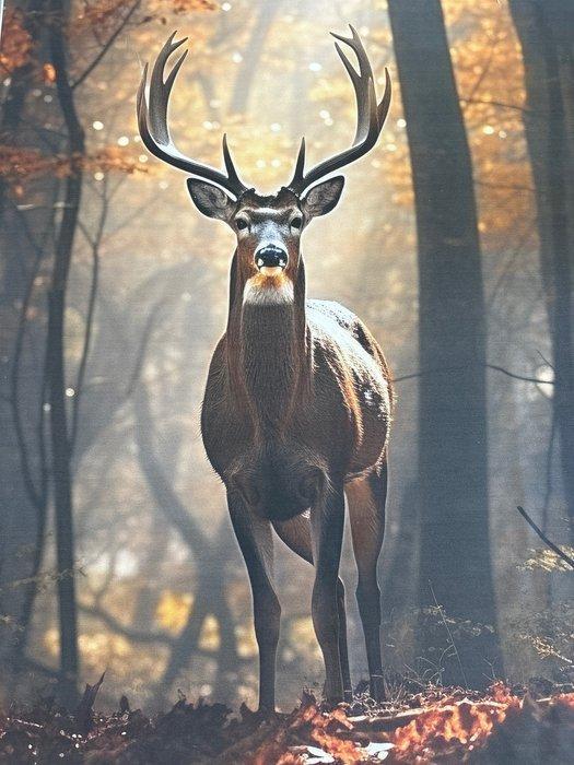 Exclusief Panama-stof 100% katoen, dubbeldik, uniek en, Antiek en Kunst, Antiek | Kleden en Textiel