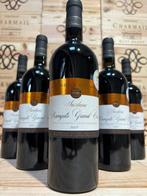 2009 Domaine Sardagne Banyuls Grand Cru - banyuls Grand Cru, Nieuw