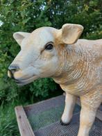 Beeld, life size and a lifelike (Texel lamb) - 43 cm -