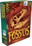 Fossilis NL | Happy Meeple Games - Gezelschapsspellen