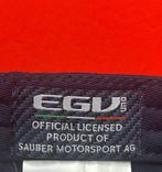 Sauber Alfa Romeo - Charles Leclerc - Pet, Nieuw