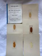 Hermann von Nördlinger - [150 Wood Samples]: Fünfzig, Antiek en Kunst
