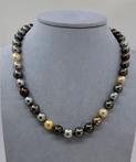 United Pearl - 8x11mm Multi South Sea and Tahitian Pearls -
