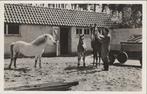SOEST - Sanatorium Zonnegloren te Soest. Merrie met veule..., Verzenden, Gelopen