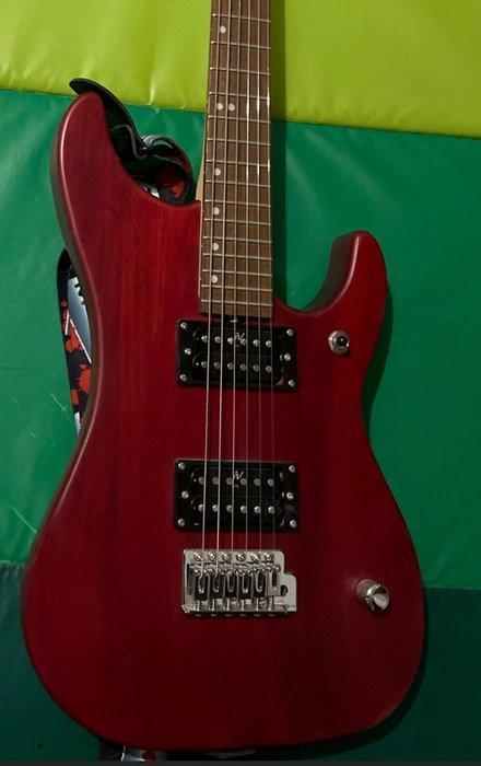 Washburn - - Elektrische gitaar - 2020 (Zonder minimumprijs), Muziek en Instrumenten, Snaarinstrumenten | Gitaren | Akoestisch