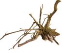 Driftwood Selected  DW42 -50x40x30cm (Small drift wood), Ophalen of Verzenden, Nieuw, Plant(en), Steen of Hout