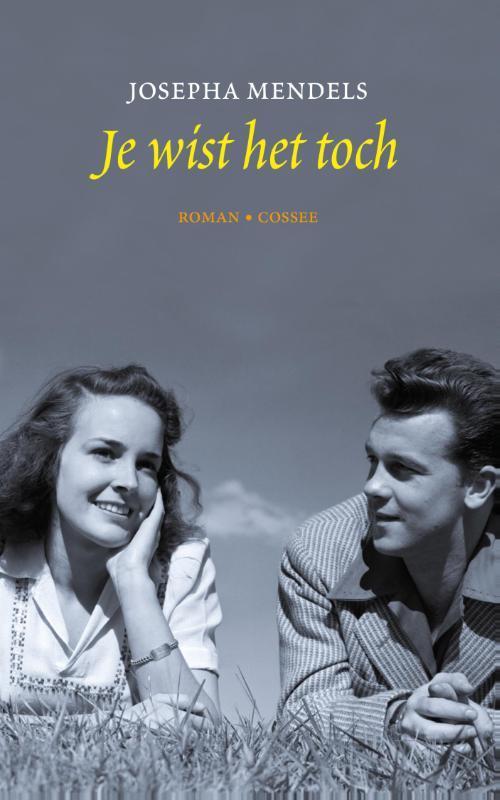 Je wist het toch 9789059366558 Josepha Mendels, Boeken, Romans, Gelezen, Verzenden