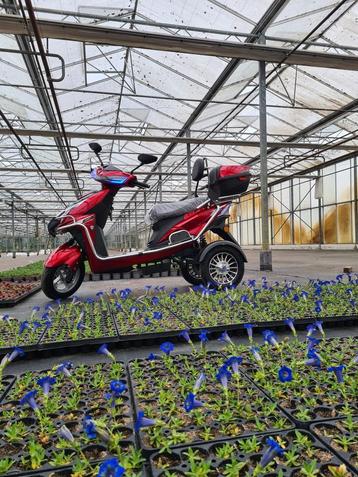 Trimobila met Rugsteun, 3 jaar Garantie, Uniek in Nederland beschikbaar voor biedingen