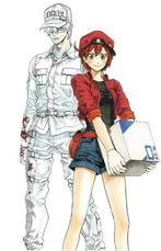Cells at Work! Complete Manga Box Set!, Boeken, Verzenden, Nieuw
