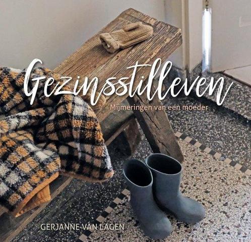9789087189389 Gezinsstilleven Gerjanne van Lagen, Boeken, Romans, Nieuw, Verzenden