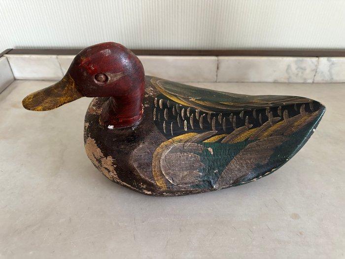 Lokeend - Palm, Antiek en Kunst, Curiosa en Brocante